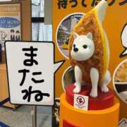 ヒメ日記 2025/09/16 10:15 投稿 ひな TALENT（タレント）