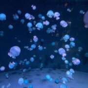 ヒメ日記 2025/10/13 02:23 投稿 ひな TALENT（タレント）