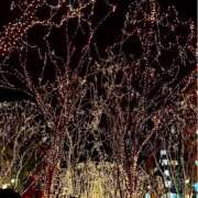 ヒメ日記 2025/12/27 15:12 投稿 ひな TALENT（タレント）