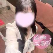 ヒメ日記 2026/04/07 09:59 投稿 ひな TALENT（タレント）