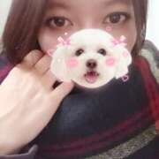 ヒメ日記 2025/11/15 14:50 投稿 香織-かおり【FG系列】 ほんつま 町田/相模原店