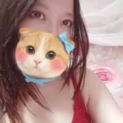 ヒメ日記 2025/11/20 20:02 投稿 香織-かおり【FG系列】 ほんつま 町田/相模原店