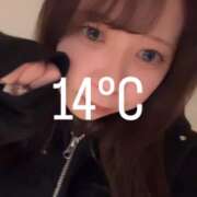 ヒメ日記 2025/11/23 03:14 投稿 ひめ【FG系列】 フィーリングin横浜