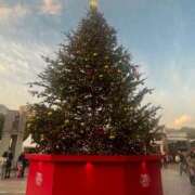 ヒメ日記 2025/11/23 10:21 投稿 まりん あふたーすくーる本店