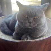 ヒメ日記 2025/12/10 23:11 投稿 まりん あふたーすくーる本店