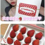 ヒメ日記 2026/04/09 01:32 投稿 綾瀬こころ AJ DOLLS(エージェイドールズ)