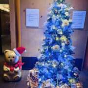 ヒメ日記 2025/12/19 03:32 投稿 ゆりか 横浜人妻セレブリティ（ユメオト）