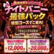 ルイ♡小悪魔いじわる責めバニー♡ ⚔️ナイトバニー争奪戦⚔️ ドMなバニーちゃん 名古屋・池下店