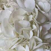 ヒメ日記 2025/09/18 09:08 投稿 ☆あくあ☆業界未経験 ◆プラウディア◆AAA級素人娘在籍店