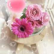 ヒメ日記 2026/02/26 13:20 投稿 リサ 人妻生レンタル