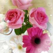 ヒメ日記 2026/03/31 15:50 投稿 リサ 人妻生レンタル