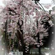 ヒメ日記 2026/04/07 16:10 投稿 リサ 人妻生レンタル