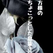 ヒメ日記 2025/08/10 11:01 投稿 結（ゆい）★清楚で上品な奥様 BITEKI