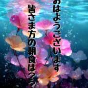 ヒメ日記 2025/08/13 08:30 投稿 結（ゆい）★清楚で上品な奥様 BITEKI