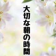 ヒメ日記 2025/08/15 08:30 投稿 結（ゆい）★清楚で上品な奥様 BITEKI