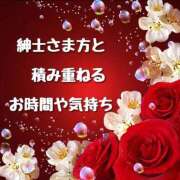 ヒメ日記 2025/08/15 11:00 投稿 結（ゆい）★清楚で上品な奥様 BITEKI