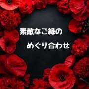ヒメ日記 2025/08/26 11:01 投稿 結（ゆい）★清楚で上品な奥様 BITEKI