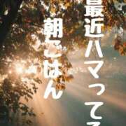 ヒメ日記 2025/08/27 08:15 投稿 結（ゆい）★清楚で上品な奥様 BITEKI