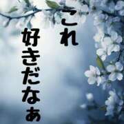 ヒメ日記 2025/08/31 11:00 投稿 結（ゆい）★清楚で上品な奥様 BITEKI
