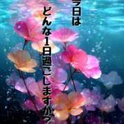 ヒメ日記 2025/09/05 11:00 投稿 結（ゆい）★清楚で上品な奥様 BITEKI