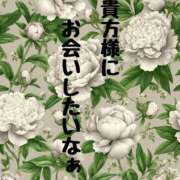 ヒメ日記 2025/09/15 11:01 投稿 結（ゆい）★清楚で上品な奥様 BITEKI