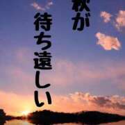 ヒメ日記 2025/09/18 08:30 投稿 結（ゆい）★清楚で上品な奥様 BITEKI