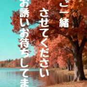 ヒメ日記 2025/11/05 11:00 投稿 結（ゆい）★清楚で上品な奥様 BITEKI