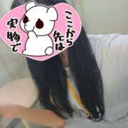 ふゆ 🩵 札幌しこたまクリニック