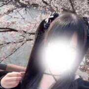 かのん 🌸 東京リップ八王子店