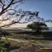 ヒメ日記 2025/10/03 22:33 投稿 まどか 奥鉄オクテツ東京店（デリヘル市場）