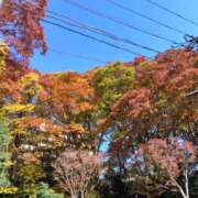 ヒメ日記 2025/11/15 10:46 投稿 まどか 奥鉄オクテツ東京店（デリヘル市場）