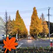 ヒメ日記 2025/11/27 01:01 投稿 まどか 奥鉄オクテツ東京店（デリヘル市場）