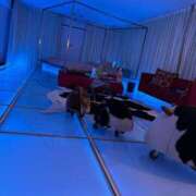 ヒメ日記 2025/08/10 00:24 投稿 URU（うる） UTAKATA