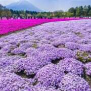 なつき『Eカップ』 嬉しいです☺️ ぽよぽよランド