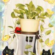 ヒメ日記 2025/10/11 20:27 投稿 ほし 熟女家 豊中蛍池店