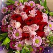 ヒメ日記 2026/02/11 12:09 投稿 ほし 熟女家 豊中蛍池店