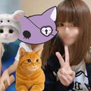 ヒメ日記 2025/10/10 09:30 投稿 葛城すずか@NH 奴隷志願！変態調教飼育クラブ本店