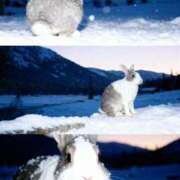 ヒメ日記 2025/11/04 17:53 投稿 葛城すずか@NH 奴隷志願！変態調教飼育クラブ本店