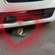 あや 昨日♡ 佐世保人妻デリヘル「デリ夫人」