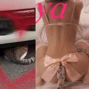 ヒメ日記 2026/04/11 14:22 投稿 あや 佐世保人妻デリヘル「デリ夫人」