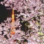 ヒメ日記 2026/04/13 22:40 投稿 ★樹里 Le CELINU（ル・セリーヌ）