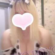 うさ『Eカップ』 楽しみにしています💖 ぽよぽよランド