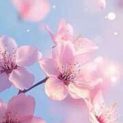 ヒメ日記 2025/11/27 15:10 投稿 そい『Hカップ』 ぽよぽよランド