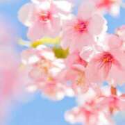 ヒメ日記 2025/11/29 23:01 投稿 そい『Hカップ』 ぽよぽよランド