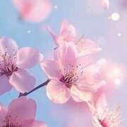 ヒメ日記 2026/01/06 15:01 投稿 そい『Hカップ』 ぽよぽよランド