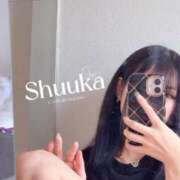 ヒメ日記 2026/04/14 07:33 投稿 しゅうか カクテル(岡山)