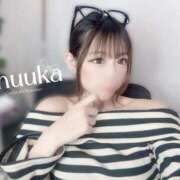 ヒメ日記 2026/04/15 07:27 投稿 しゅうか カクテル(岡山)