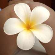 ヒメ日記 2025/10/09 12:48 投稿 なつ 吉野ケ里人妻デリヘル 「デリ夫人」