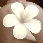 ヒメ日記 2025/12/18 15:26 投稿 なつ 吉野ケ里人妻デリヘル 「デリ夫人」