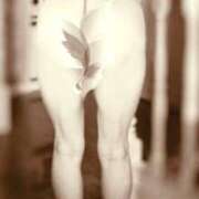 ヒメ日記 2026/03/08 12:08 投稿 なつ 吉野ケ里人妻デリヘル 「デリ夫人」